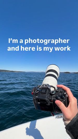 Image post by @olderelder on Instagram