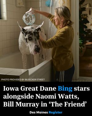 Image post by @dmregister on Instagram