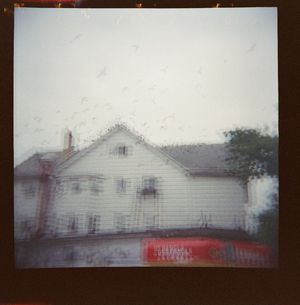Image post by @emilygoldphotography on Instagram