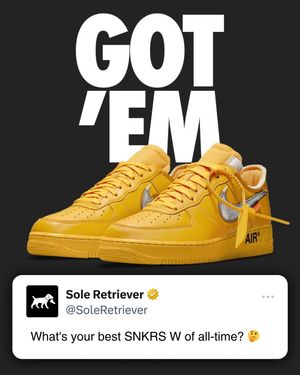 Image post by @soleretriever on Instagram