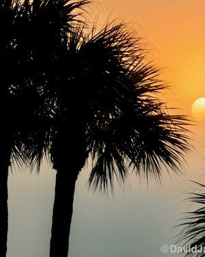 Image post by @galvestonisland on Instagram