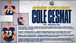 Image post by @casteeltdclub on Twitter