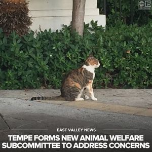 Image post by @abc15arizona on Instagram