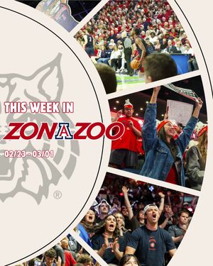 Image post by @zonazooofficial on Instagram