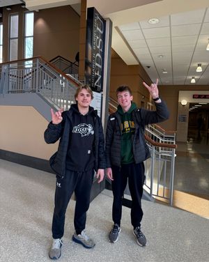 Image post by @ndsubusiness on Instagram