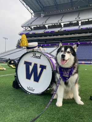 Image post by @dubs_uw on Instagram