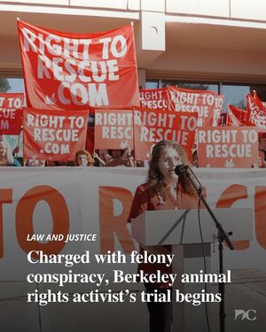 Image post by @dailycal on Instagram