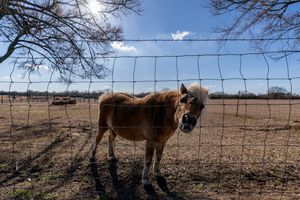 Image post by @txextension on Instagram
