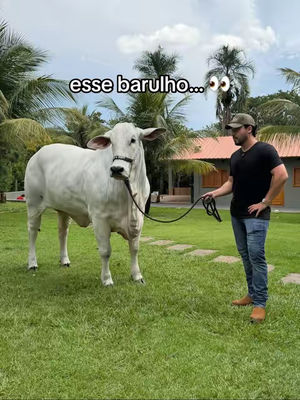 Image post by @murilohuffoficial on TikTok
