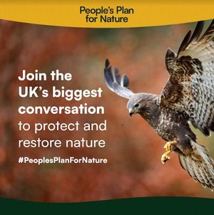 Image post by @rspb on Instagram