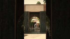 Video post by @denvermo on YouTube