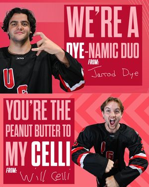 Image post by @ugahockeyd3 on Instagram