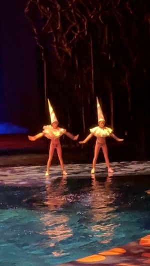 Video post by @Ocirque on Facebook