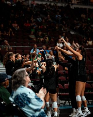 Image post by @hawaiiwvb on Instagram