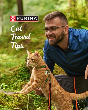 Image post by @purina on Instagram