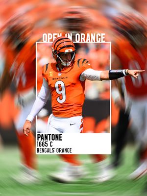 Image post by @bengals on Instagram