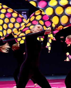 Image post by @wgisportofthearts on Instagram
