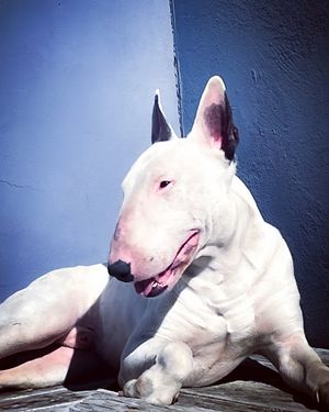 Image post by @kaleviana on Instagram