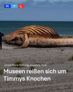 Image post by @rtlaktuell on TikTok