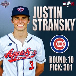 Image post by @applesox on Instagram