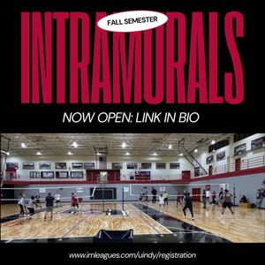 Image post by @uindyintramurals on Instagram