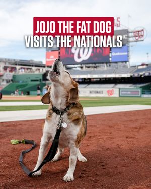 Image post by @nationals on Instagram