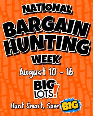 Image post by @biglots on Instagram