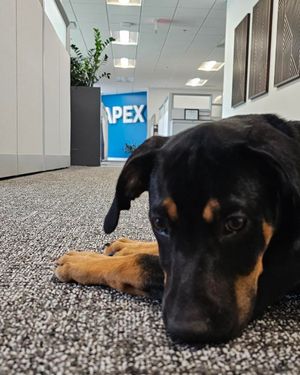 Image post by @apexbenefits on Instagram