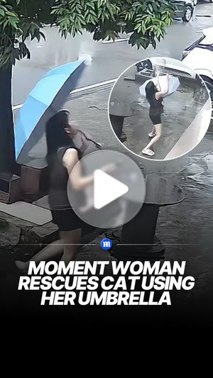 Image post by @dailymail on Instagram