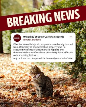 Image post by @uofscstudents on Instagram