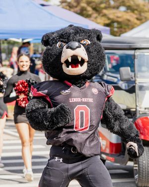 Image post by @lrbearsfootball on Instagram