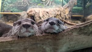 Image post by @denverzoo on Instagram