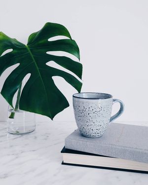 Image post by @kate.simple.life on Instagram