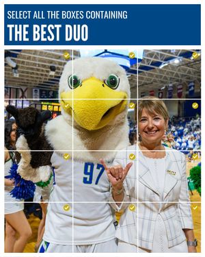 Image post by @fgcu on Instagram