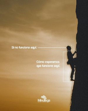 Image post by @mindlegs on Instagram