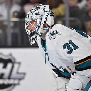 Image post by @sanjosesharks on Instagram