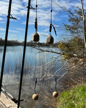Image post by @brothercarp on Instagram