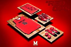Image post by @marylandterrapins on Instagram