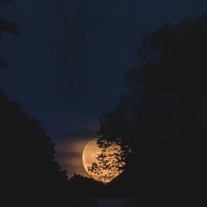 Image post by @cintiamars on Instagram