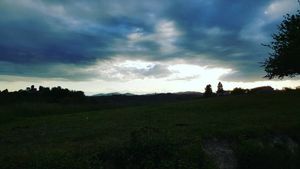 Image post by @lorenzosonego on Instagram