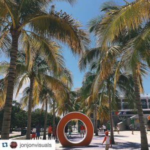 Image post by @marlins on Instagram