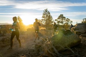 Image post by @runinrabbit on Instagram
