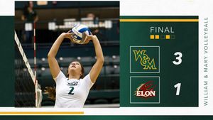Image post by @WMTribeVB on Twitter