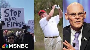 Video post by @msnbc on YouTube