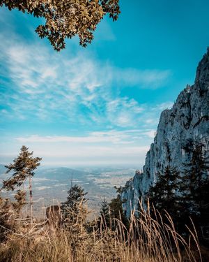 Image post by @cristan.nature.photography on Instagram
