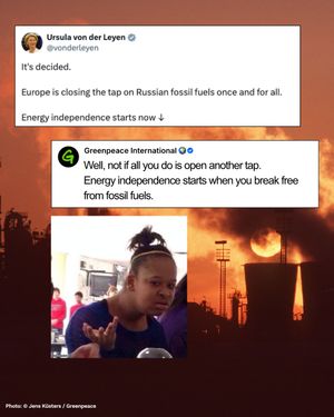 Image post by @greenpeace on Instagram
