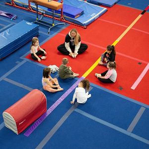 Image post by @troygymnastics on Instagram