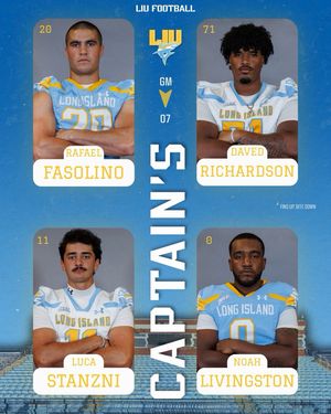Image post by @liusharksfb on Instagram