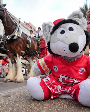 Image post by @kingdomcrew on Instagram