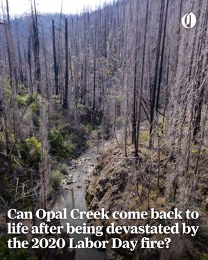 Image post by @theoregonian on Instagram